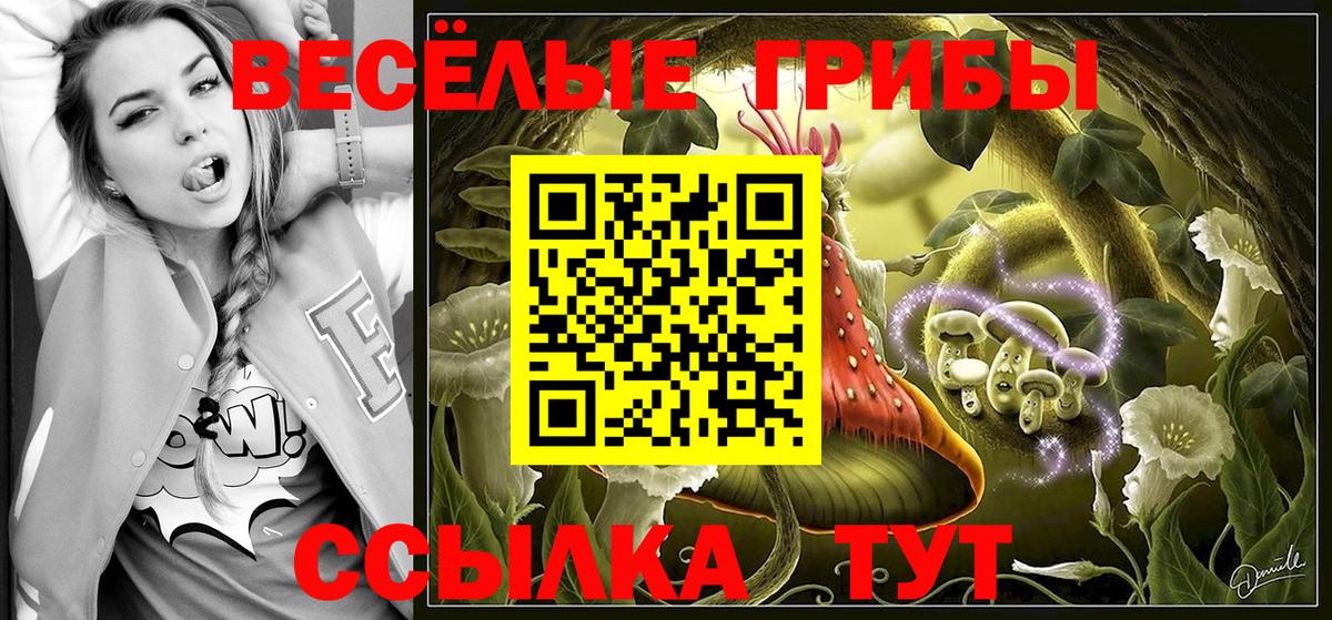 Галлюциногенные грибы Psilocybine cubensis Ликино-Дулёво
