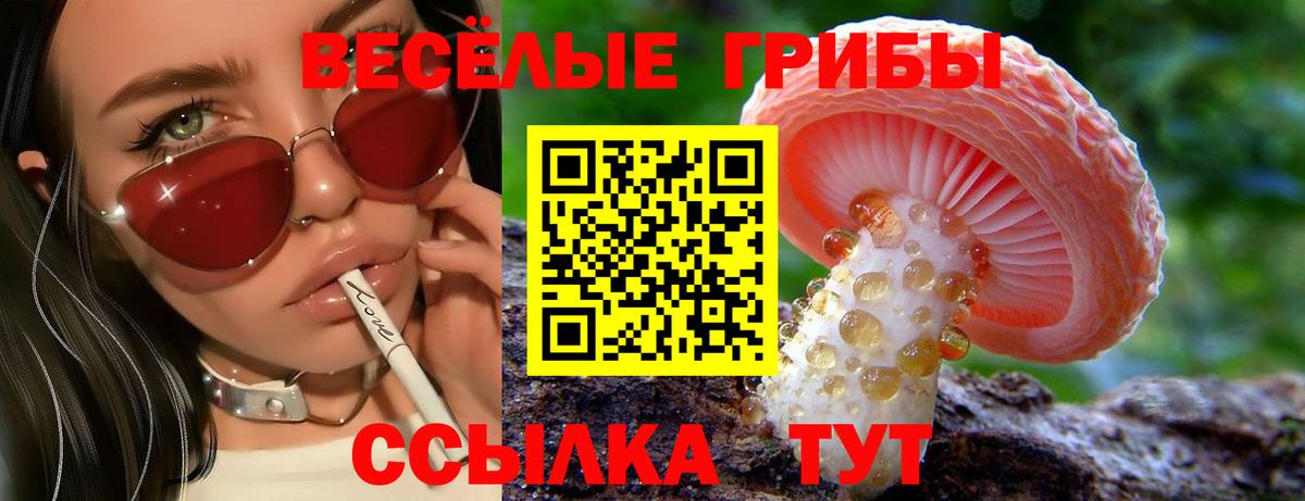 Ликино-Дулёво  Псилоцибиновые грибы мицелий  Вход с VPN  Псилоцибиновые грибы прущие грибы 